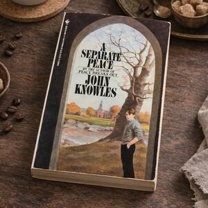 A Separate Peace John Knowles Bantam 1988 Paperback Vintage Novel